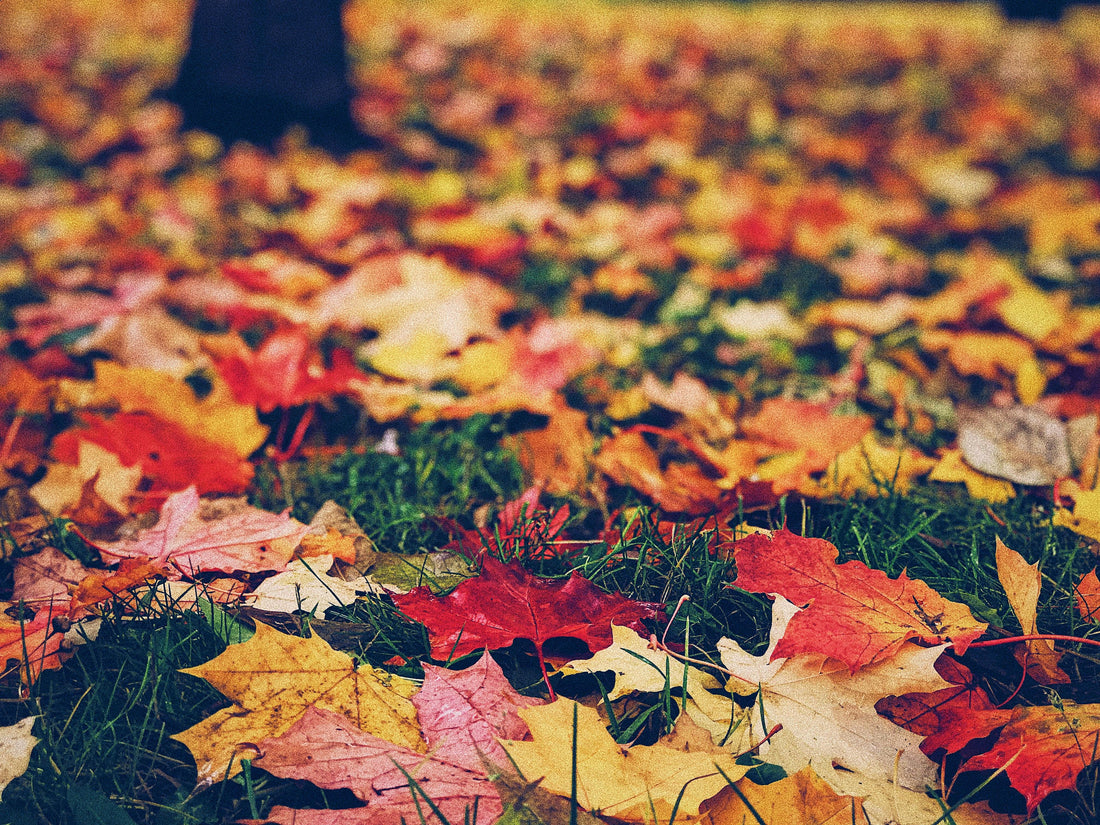 Everything's always changing